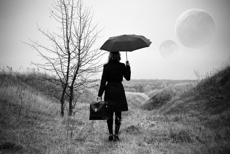 Parallel Universe Studies